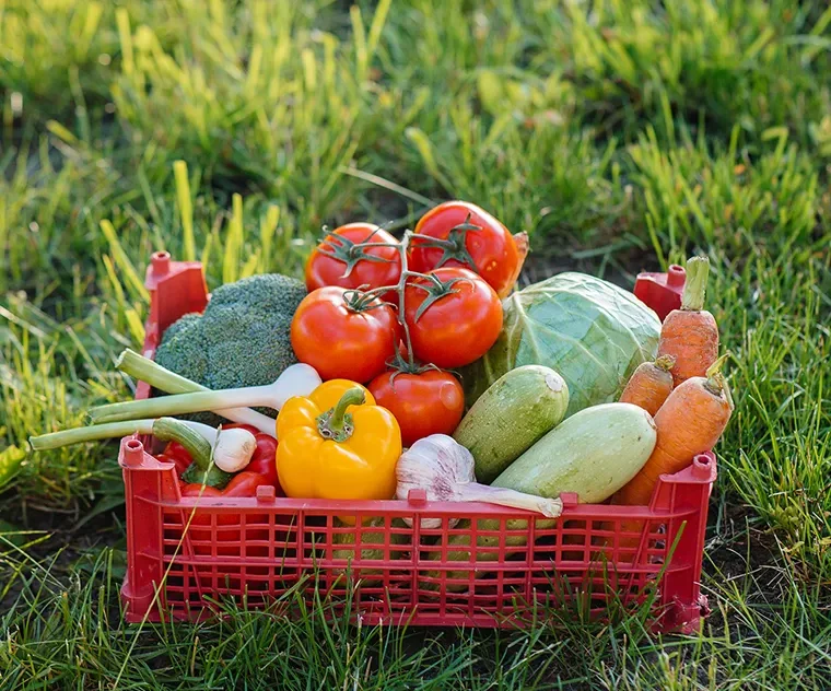 There are many variations of passages of Lorem Ipsum available, but majority have suffered teration in some form, by injected humour, or randomised words which don't look even slight believable. If you are going to use a passage of Lorem Ipsum.